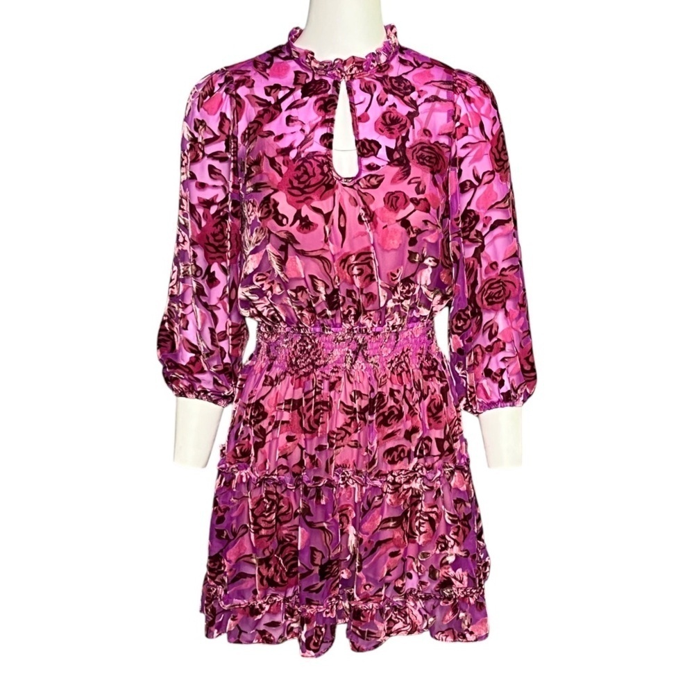 OPT Tuckernuck Fuchsia Pink Velvet Floral Print Ruffled Skirt Mini Dress Size XS